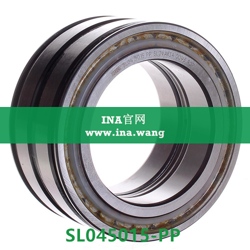 sl045015-pp-ina-ina-ina