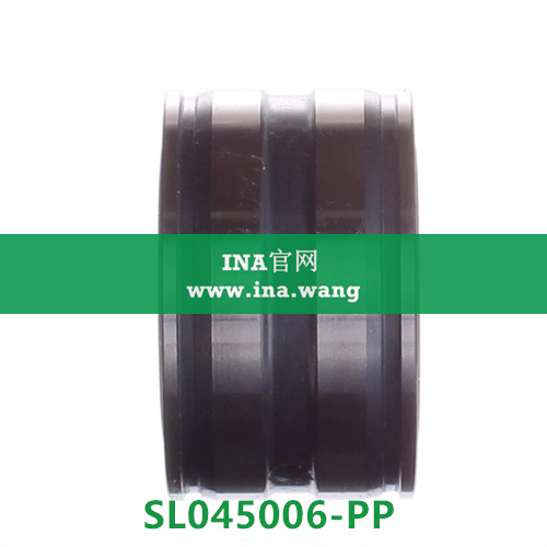 sl045006-pp-ina-ina-ina