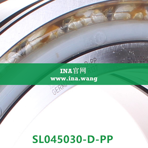 sl045030-d-pp-ina-ina-ina