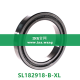 INA/圆柱滚子轴承   SL182918-B-XL