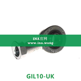 INA/内螺纹杆端轴承   GIL10-UK