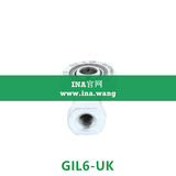 INA/内螺纹杆端轴承   GIL6-UK
