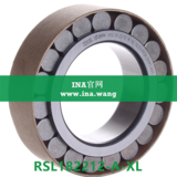 INA/无外圈圆柱滚子轴承   RSL182212-A-XL